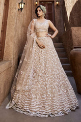 Pale Pink Lehenga